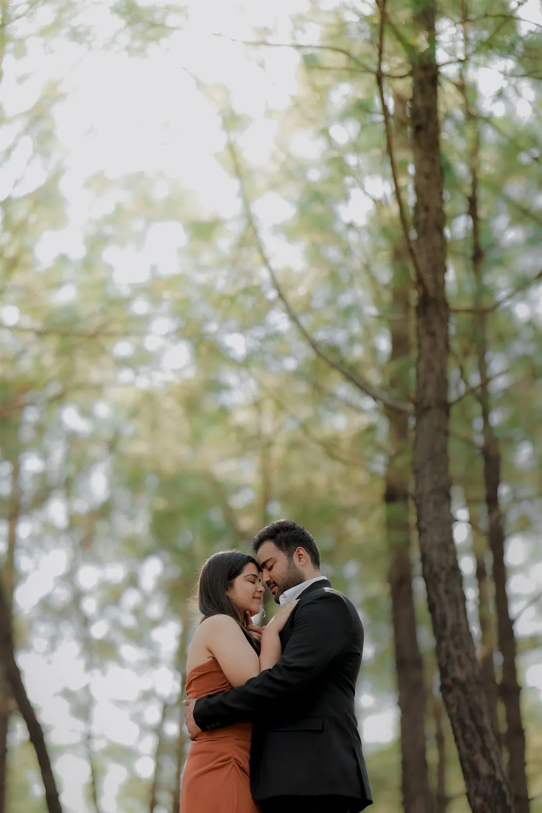 Pre-wedding couple in a pine forest
